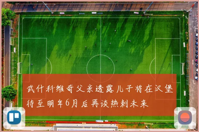 武什科维奇父亲透露儿子将在汉堡待至明年6月后再谈热刺未来